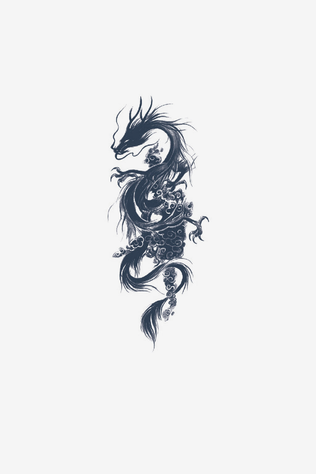 The dragon of the clouds