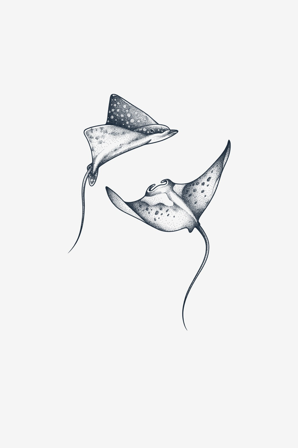 Pisici de Mare - tatuaj temporar Inklabs