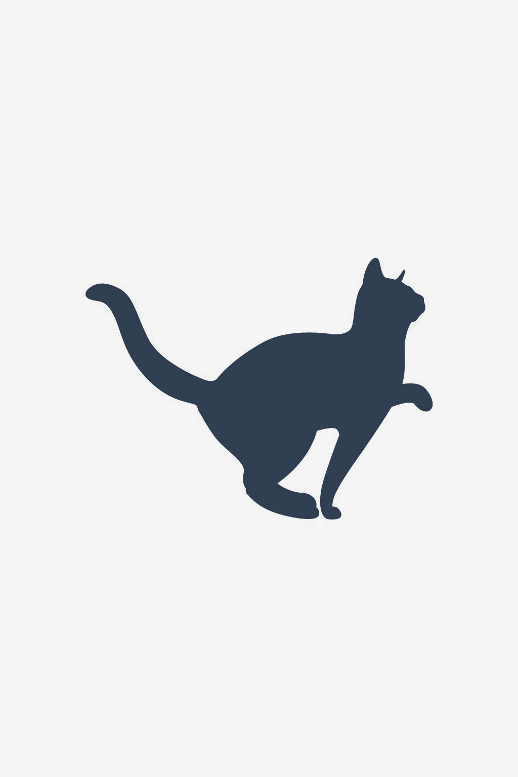 Cat 2