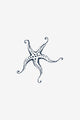 Sea Star 2