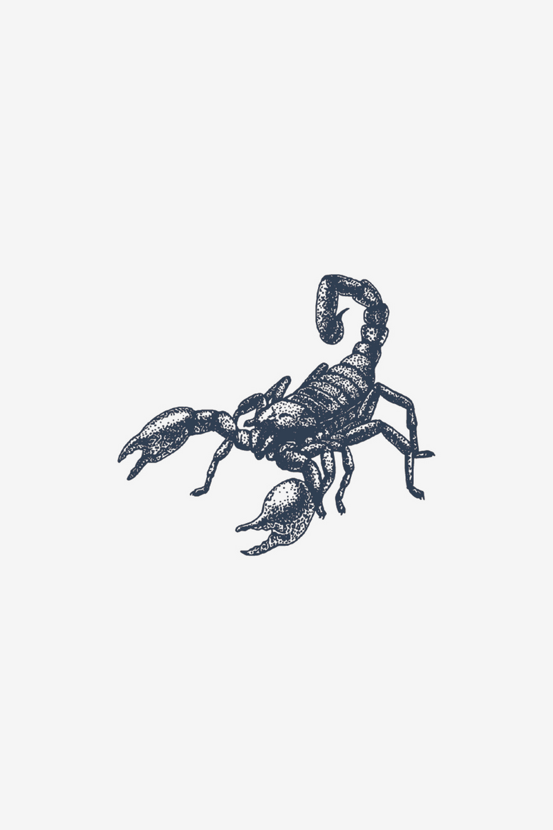 Escorpião