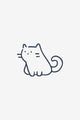 Liten katt