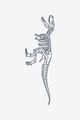 T-Rex skelett