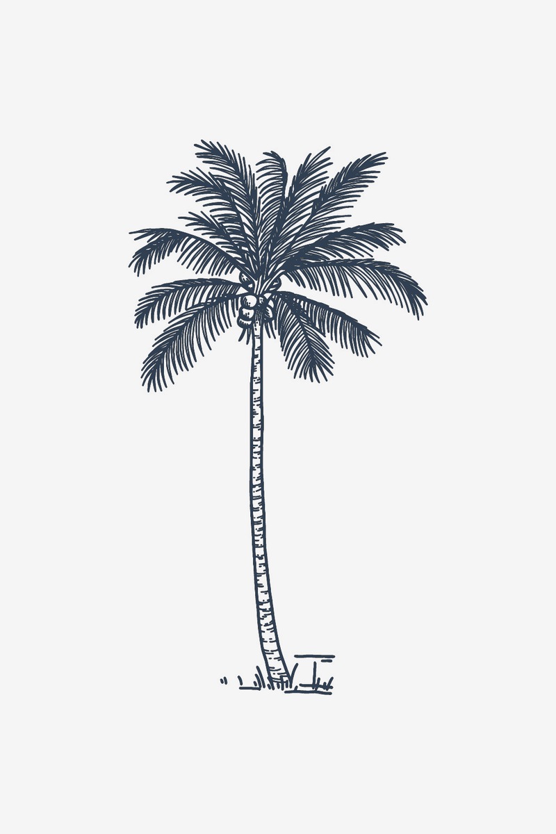Kokospalm