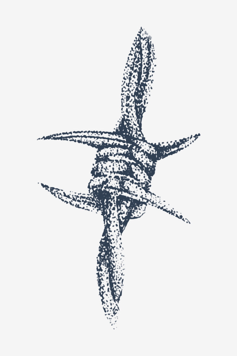 Elasticitet