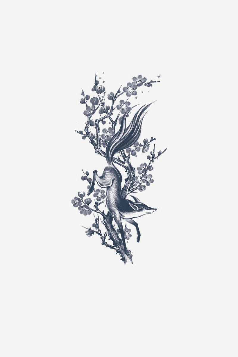 Räv