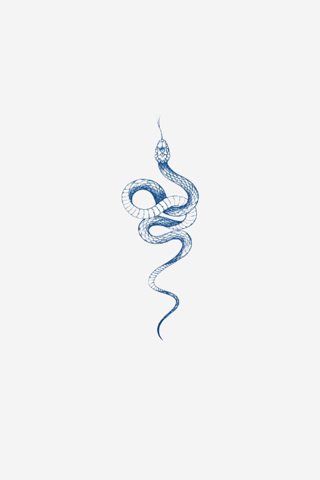 Serpent gracieux