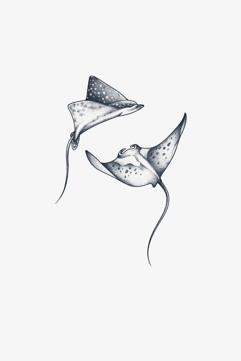 Pisici de Mare - tatuaj temporar Inklabs