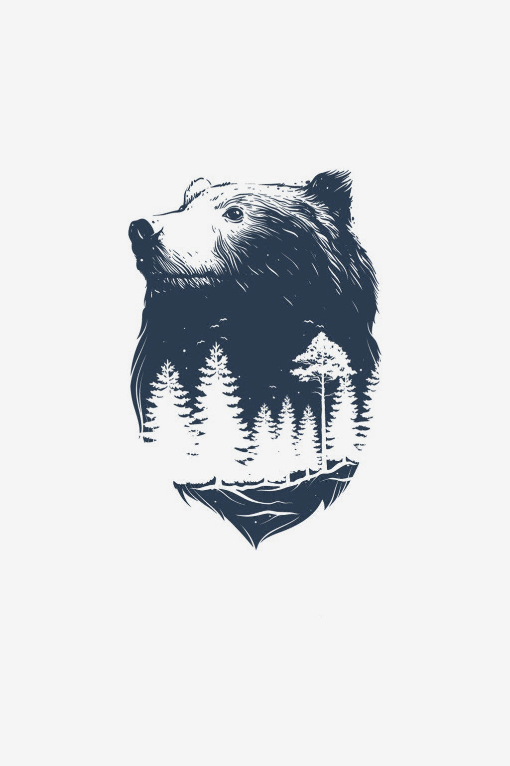 Orso