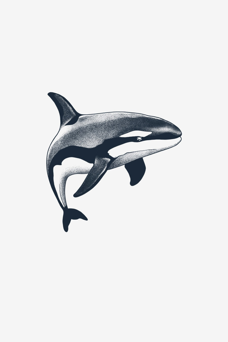 Orca - tatuaj temporar Inklabs