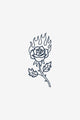Combustion