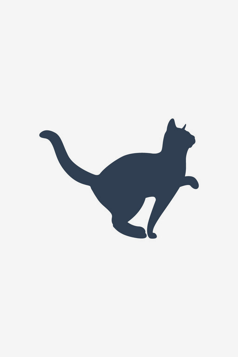 Katt 2
